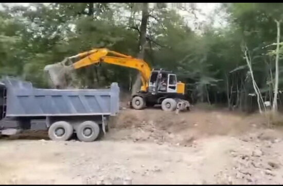 جنگل واکنش یگان حفاظت منابع طبیعی به تصاویر منتشر شده درباره جنگلهای الیمالات