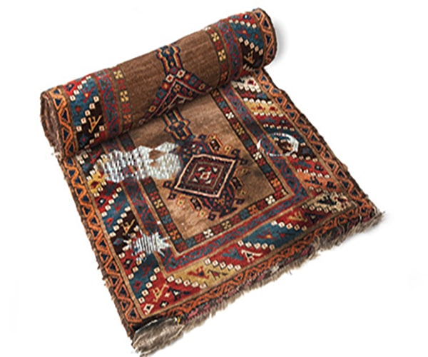 عوامل مهم پوسیدگی فرش ها و راهکار برای جلوگیری از آن