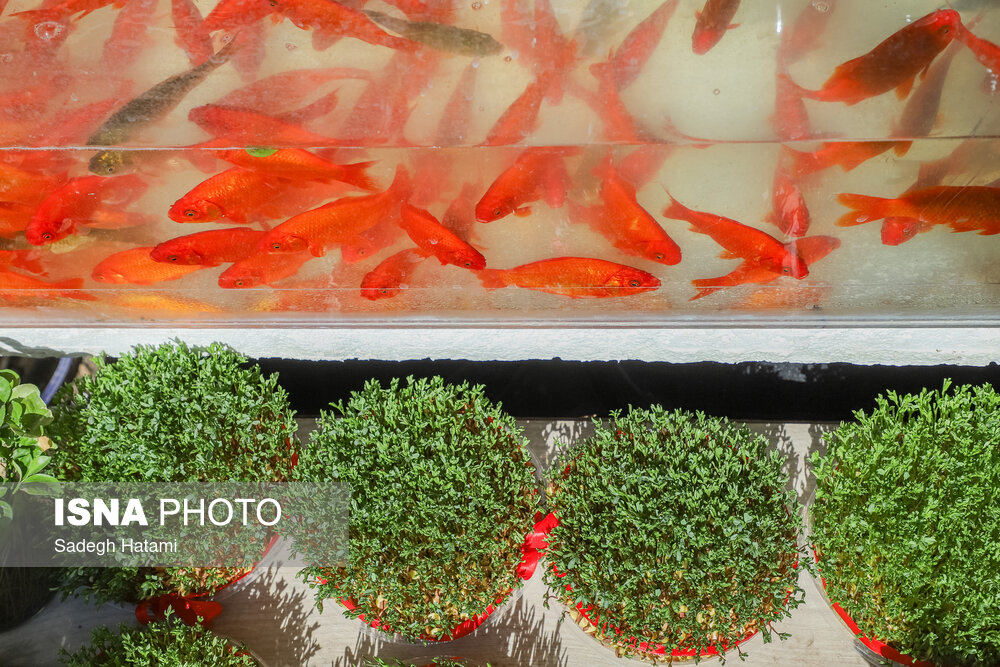 نوروز خود را چگونه گذراندید؟