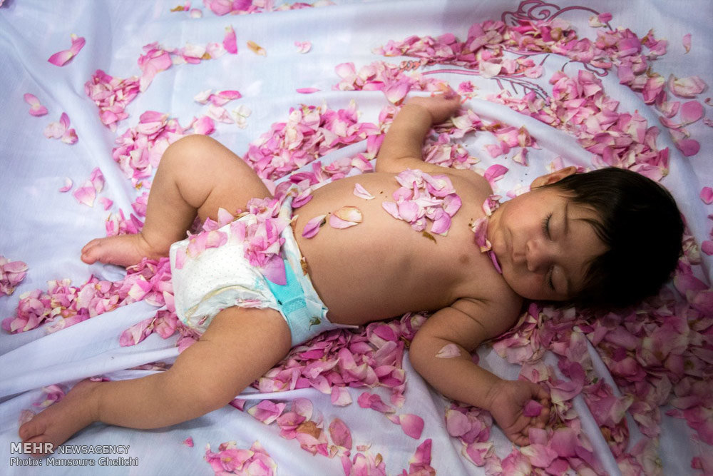 ثبت ملی «گل‌غلتان»فرصتی برای جذب گردشگر و معرفی فرهنگ اصیل مردم دامغان - خبرگزاری مهر | اخبار ایران و جهان